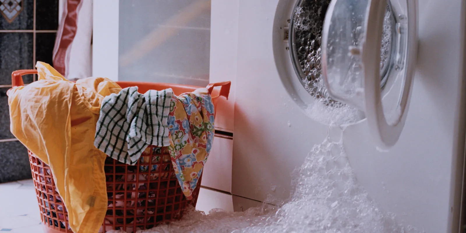 Photo: in style, Tips, Caesar Satellite – photo on our website