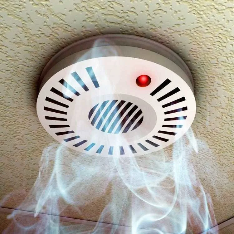 Photo: in style, Tips, Caesar Satellite – photo on our website