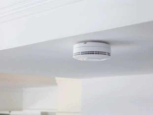 Фотографія: в стилі , Советы, Дом и дача, «Гольфстрим», Безопасный дом – фото на нашем сайте