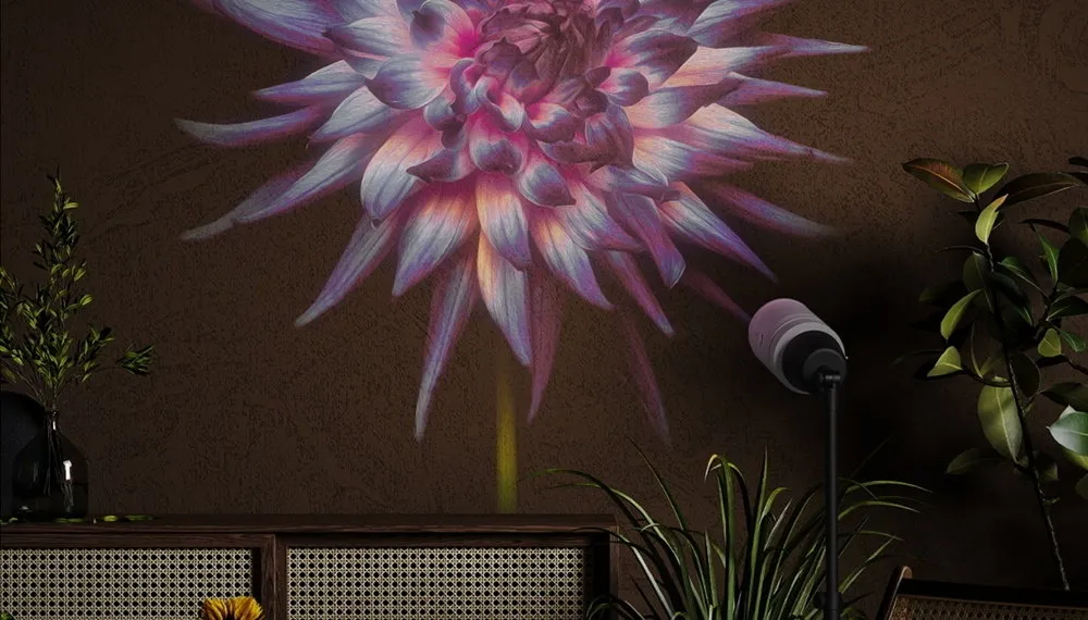 Foto: Estilo LIFESTYLE – imagen en nuestro sitio web