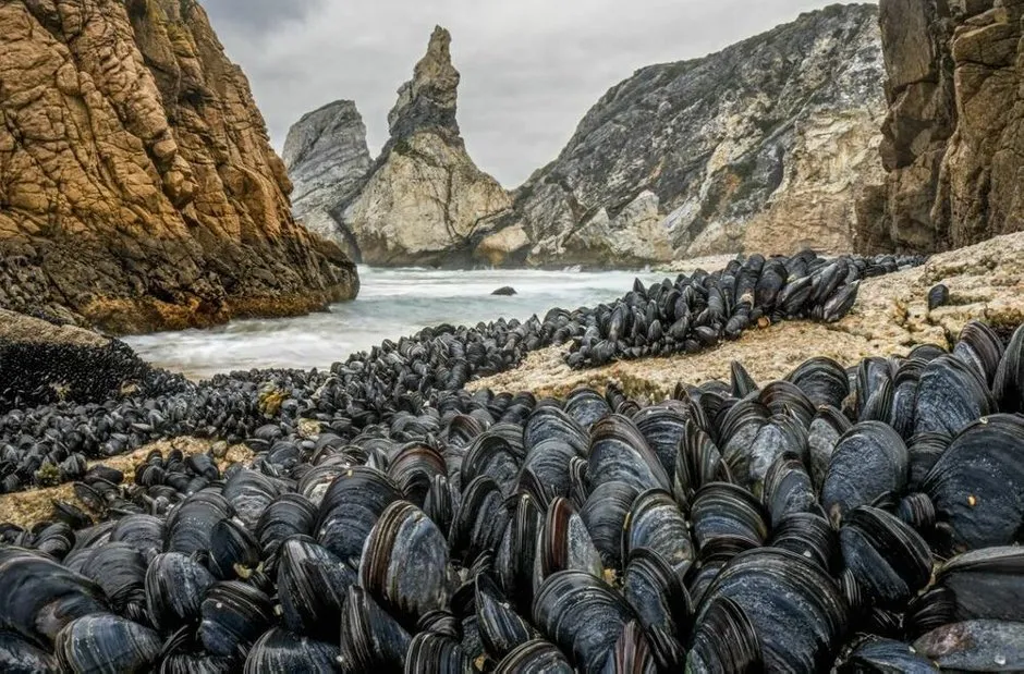 Foto: Wildlife Photographer – Foto auf unserer Website