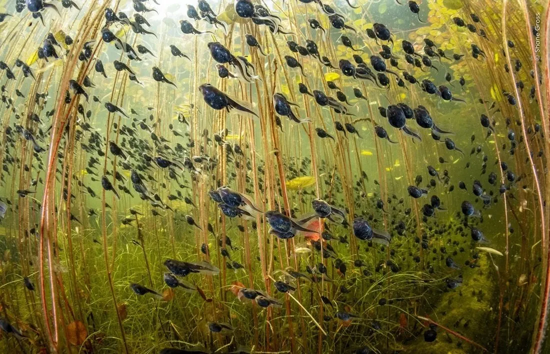 Foto: Wildlife Photographer – Foto auf unserer Website