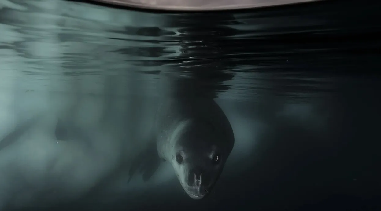 Foto: Wildlife Photographer – Foto auf unserer Website