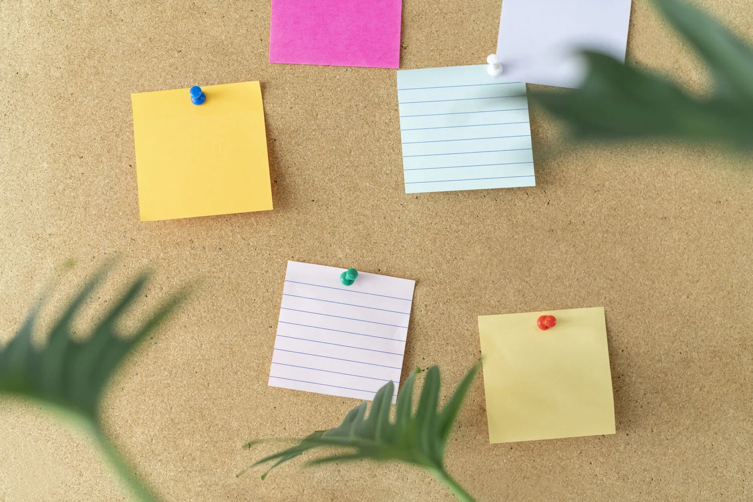 Photo: pinterest.com