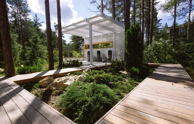 照片：Derevo Park