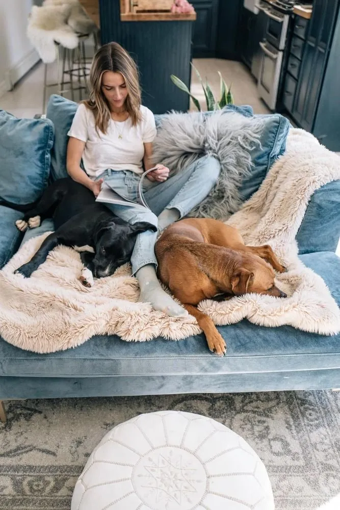 照片：平面图风格，建议，伊琳娜·卡马拉迪娜 – 我们网站上的照片