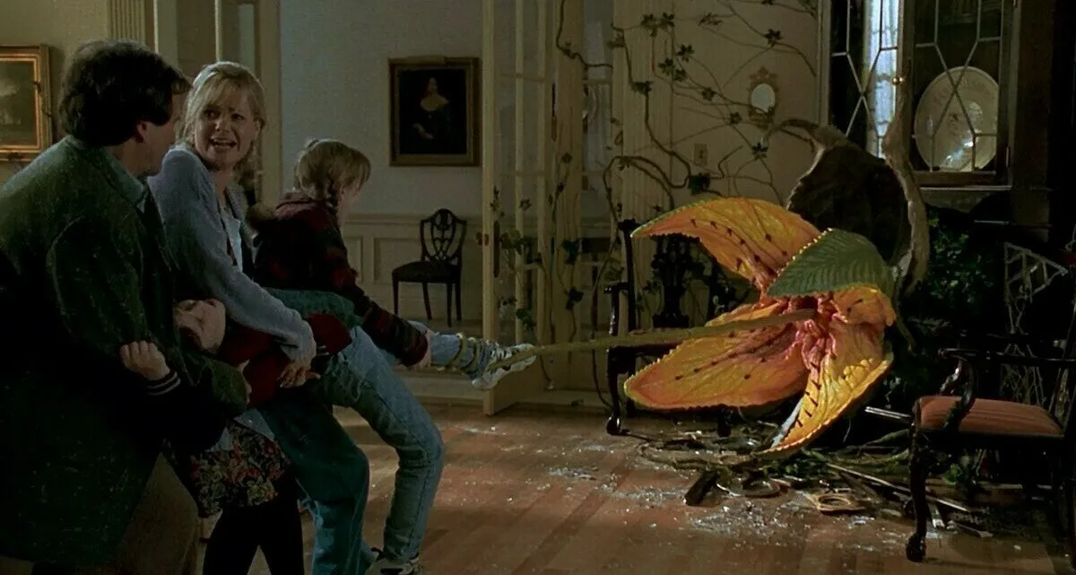 Photo: avatars.dzeninfra.ru