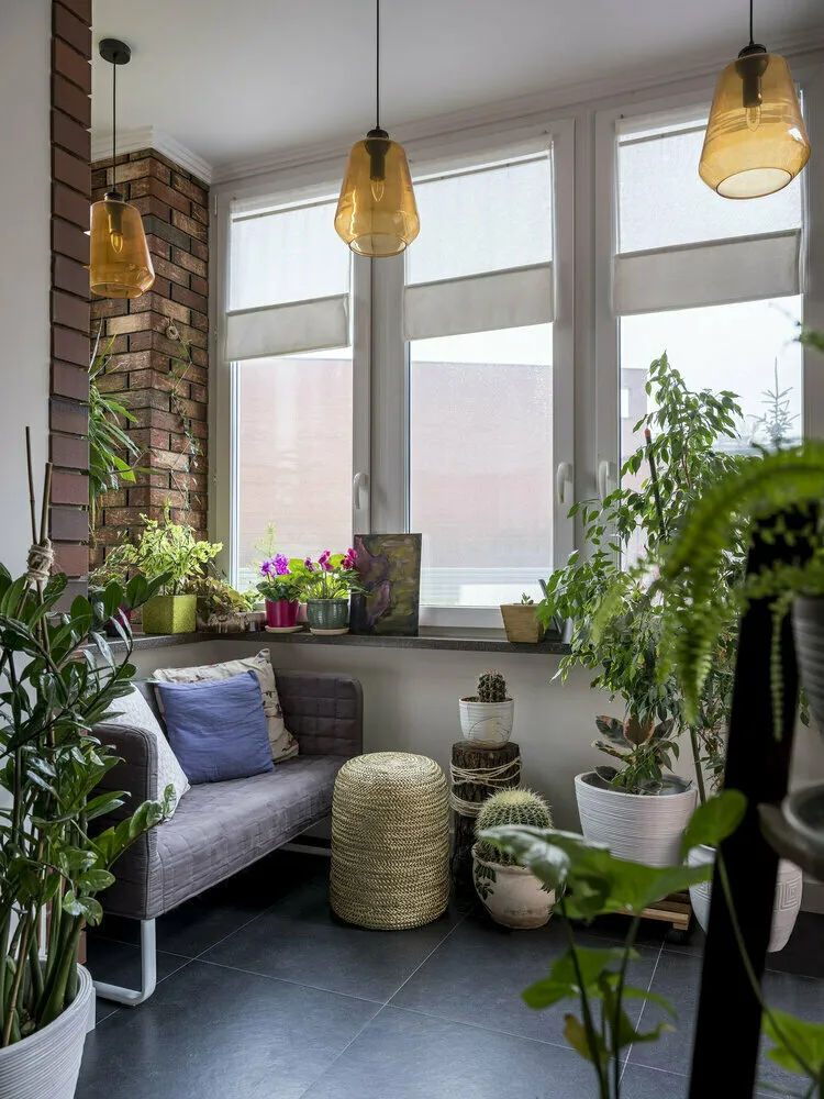 Foto: in Stil, Tipps, Pflanzen im Innenraum, lebende Pflanzen im Innenraum, Pflanzen in Töpfen im Innenraum, Pflanzen, Zimmerpflanzen, Heimpflanzen, Ekatrina Kuznetsova – Foto auf unserer Website