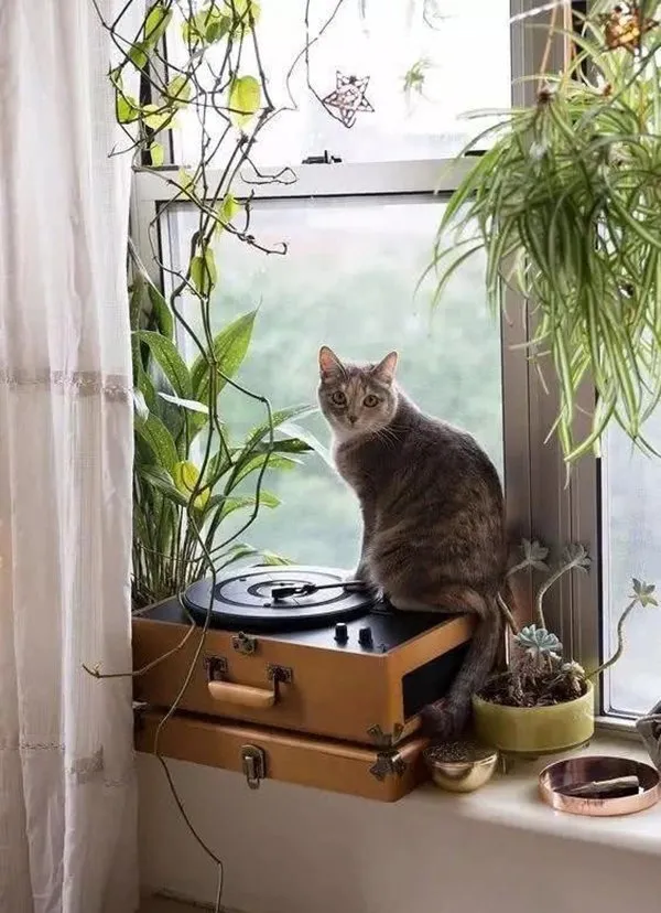 照片：现代风格的卧室，技巧 – 我们网站上的照片