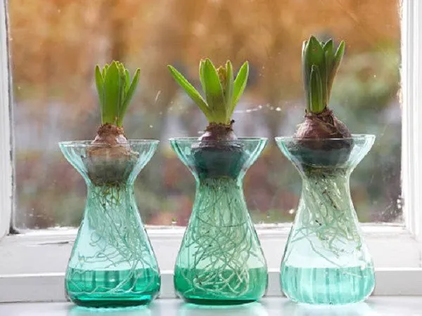 照片：现代风格的办公室，技巧 – 我们网站上的照片