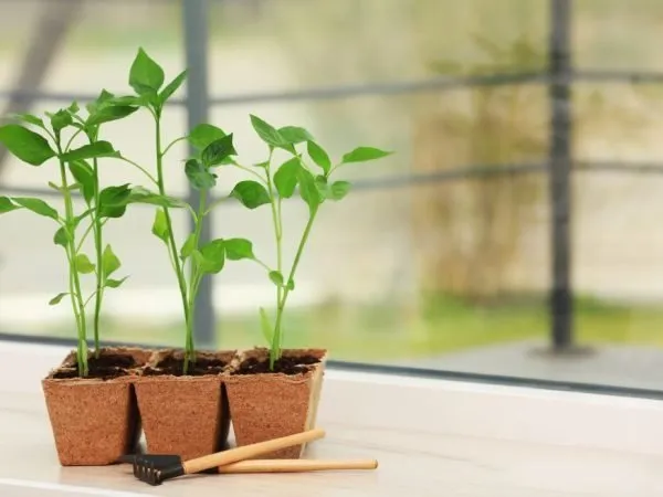 照片：现代风格的卧室，技巧 – 我们网站上的照片