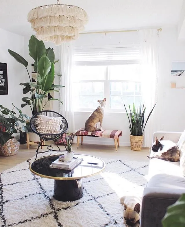 照片：斯堪的纳维亚风格客厅，建议，REHAU，炎热天气，如何度过炎热天气，如何在没有空调的情况下度过炎热天气 – 我们网站上的照片