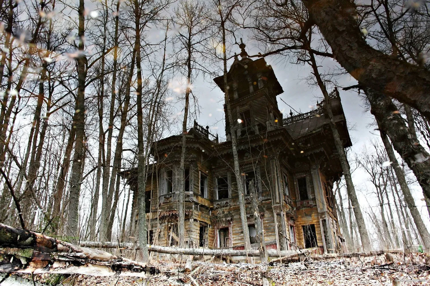 Forest house of Martyan Sazonov before restoration