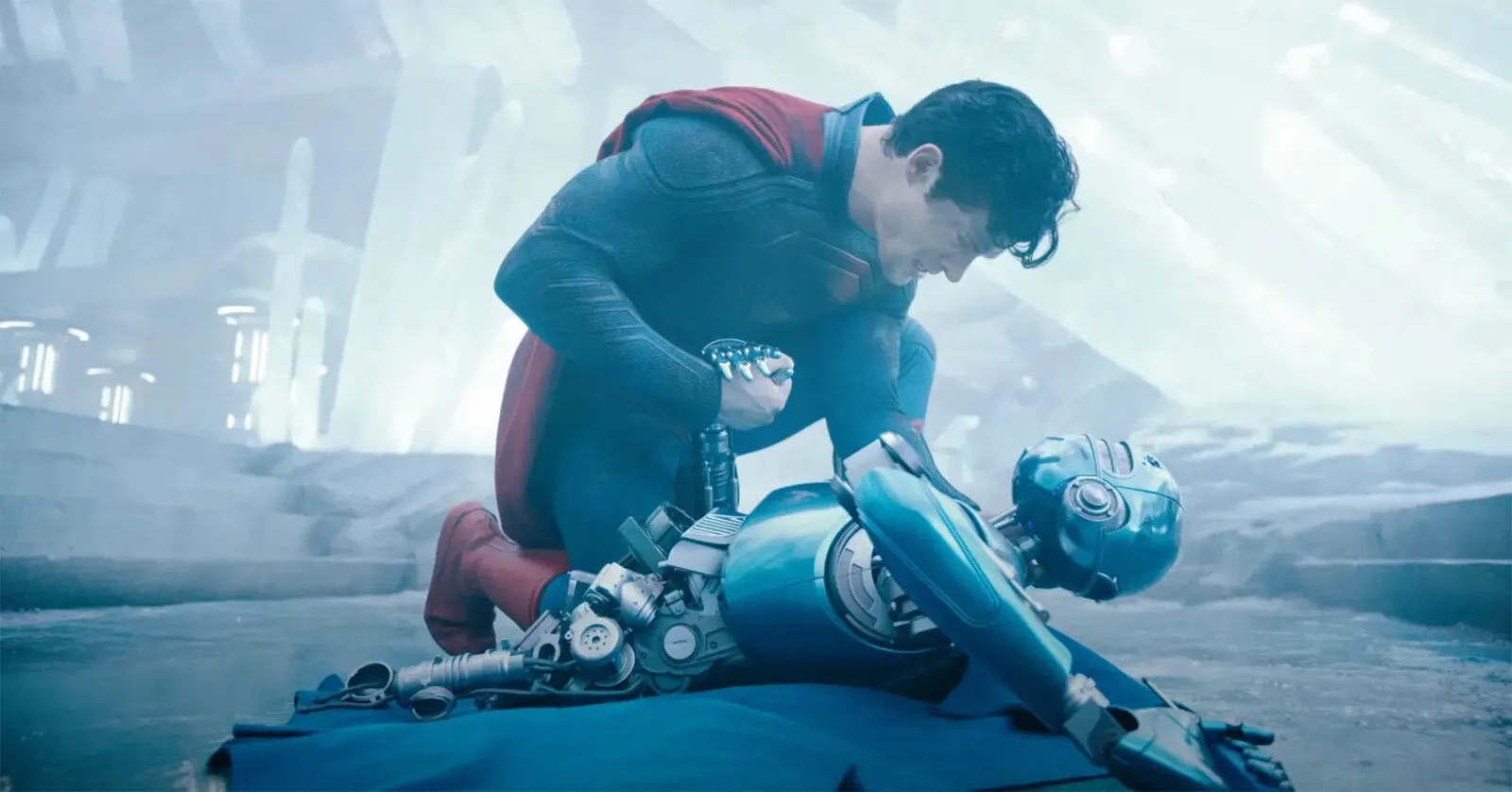 照片来源：nypost.com