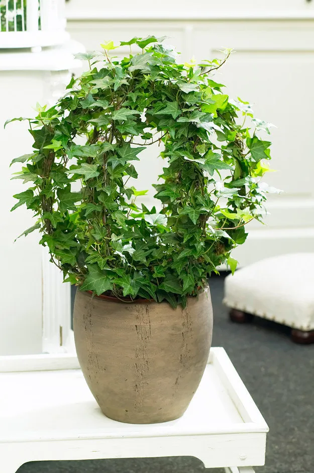 Photo: in style, Floristry, Tips – photo on our website