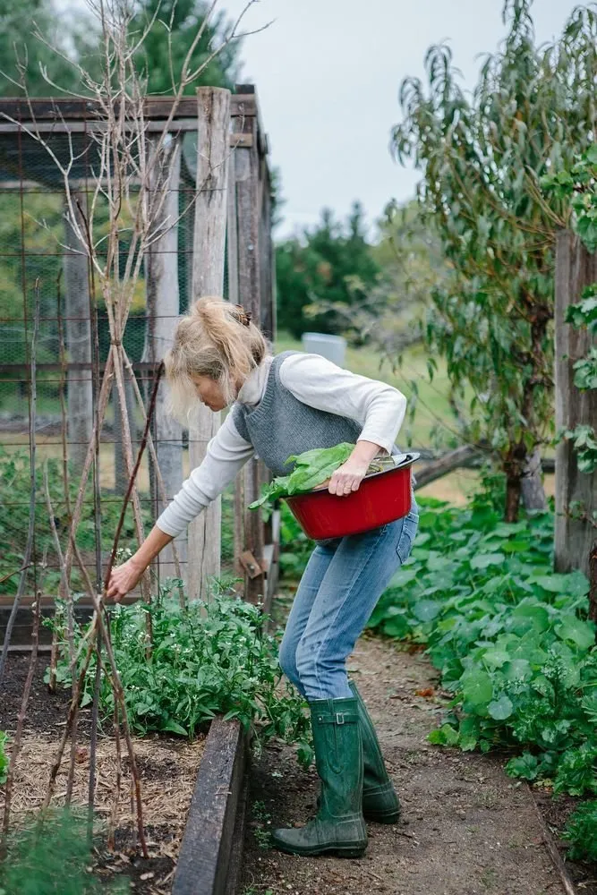 照片：风格，建议 – 我们网站上的照片