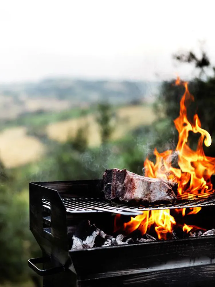照片：风格，建议，乡村场地，带烧烤架的凉亭 – 我们网站上的照片