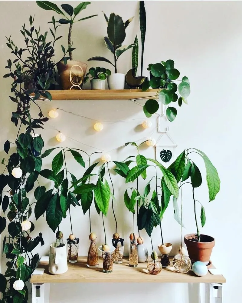 照片：风格为，建议 – 我们网站上的照片