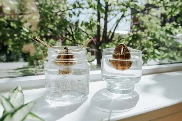 照片：风格为，建议 – 我们网站上的照片