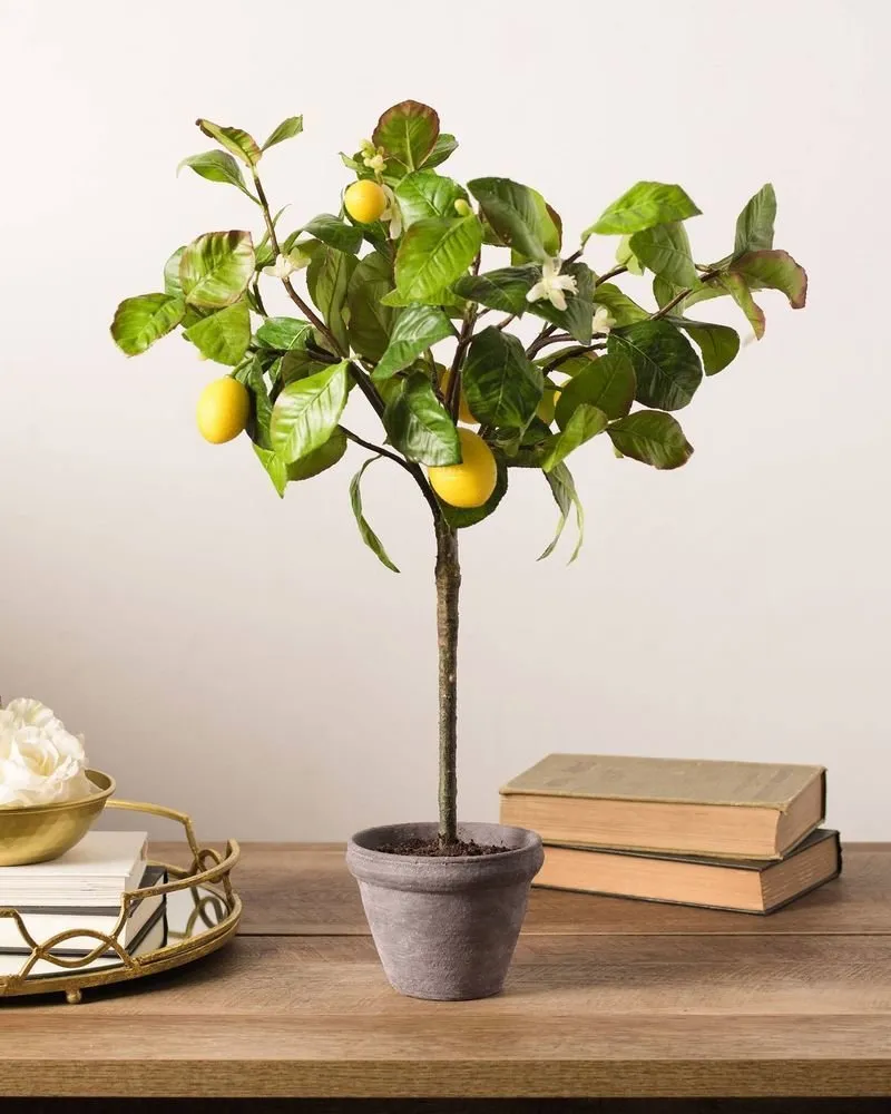 Photo: in style , Interior decoration, Floristry, Tips – photo on our website