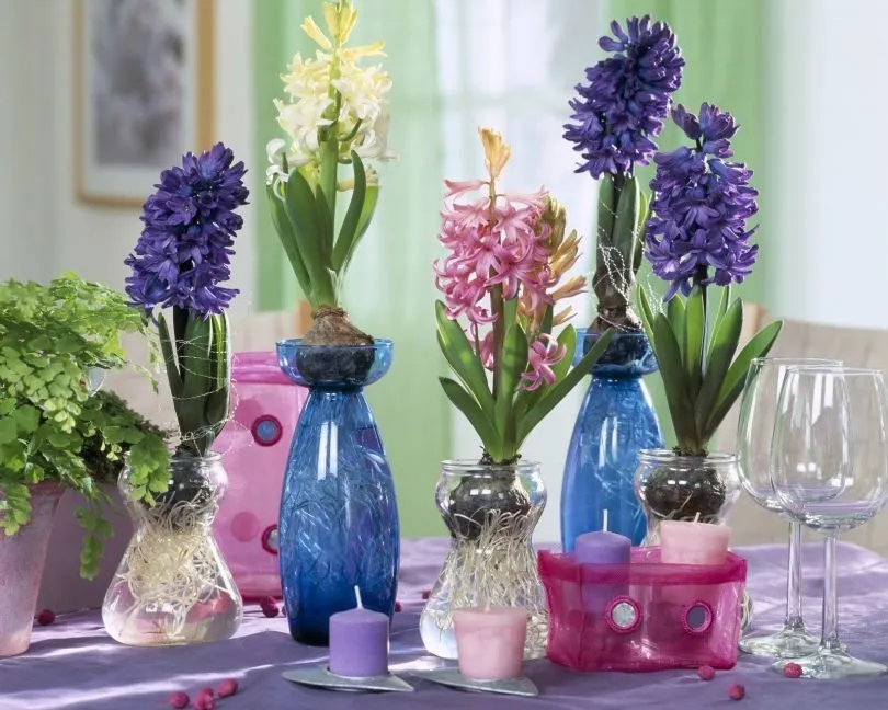 照片：斯堪的纳维亚风格办公室 – 我们网站上的照片