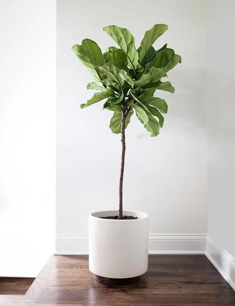 Photo: in style , Interior decoration, Floristry, Tips – photo on our website