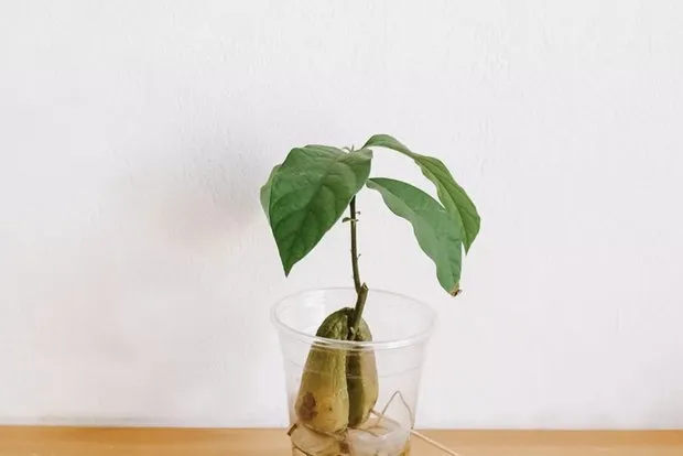 照片：风格为，建议 – 我们网站上的照片