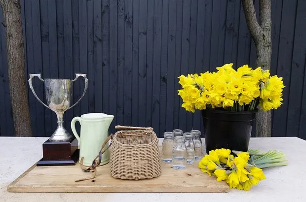 照片：极简主义客厅 – 我们网站上的照片