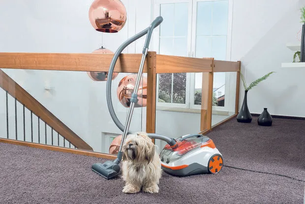 Foto: estilo , – foto en nuestro sitio web