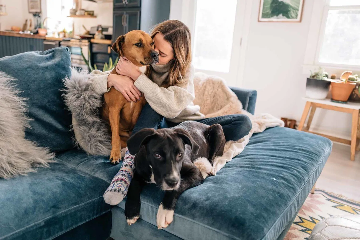 图片:风格为现代,清洁小贴士,家居清洁,厨房清洁,过敏,海绵有多危险,清洁布——网站上的图片