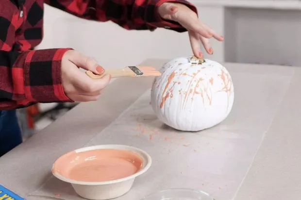 图片来源：thespruce.com