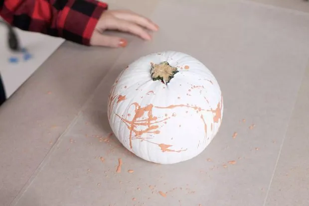 图片来源：thespruce.com