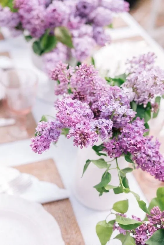 Photo: in style, Tips – photo on our site