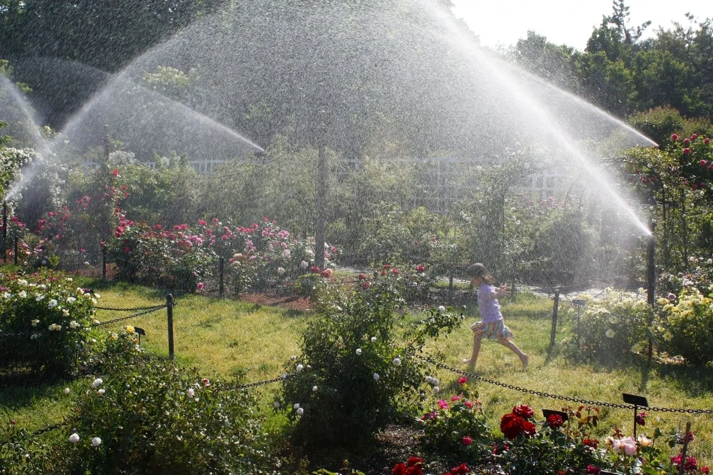 摄影师：玛丽·维尔恩