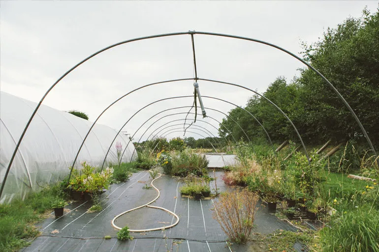 摄影师：安迪·霍布森