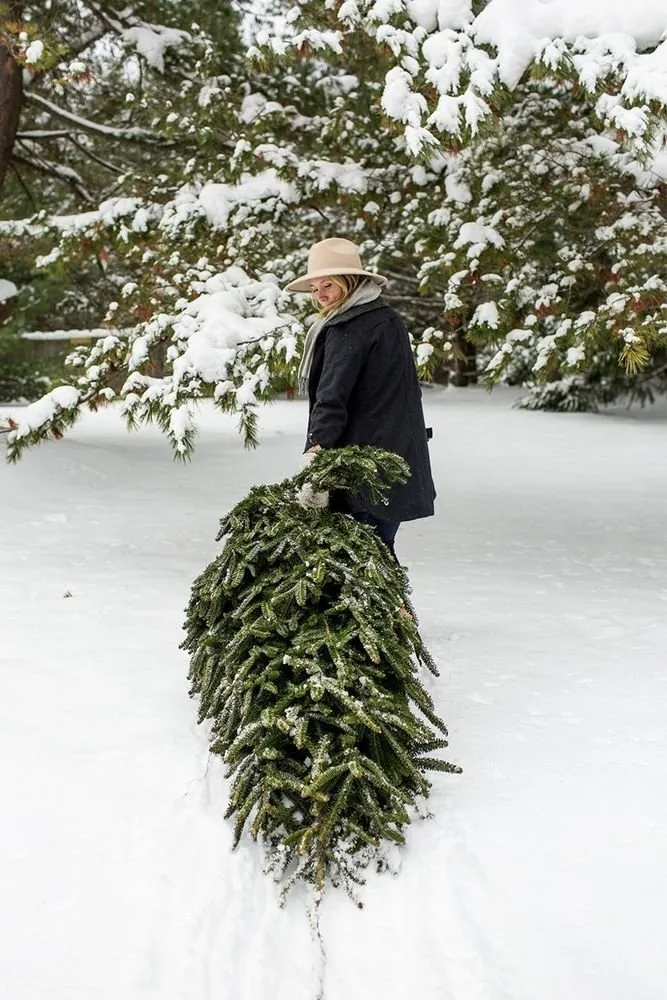 Photo: landscape, Tips, Home and Dacha, Petr Lari, Derevo Park – photo on our site