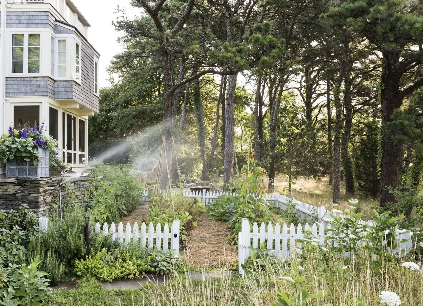 摄影师：马修·威廉姆斯