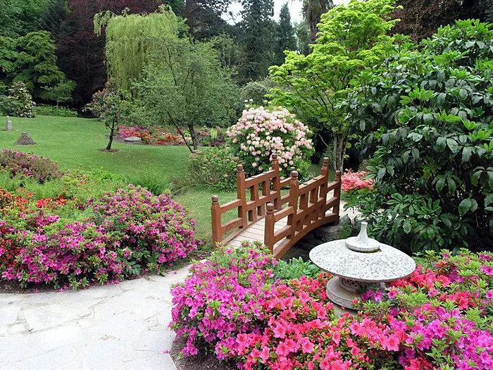 Фотографія: Ландшафт у стилі, Поради, Дача, Вікторія Донські – фото на нашому сайті