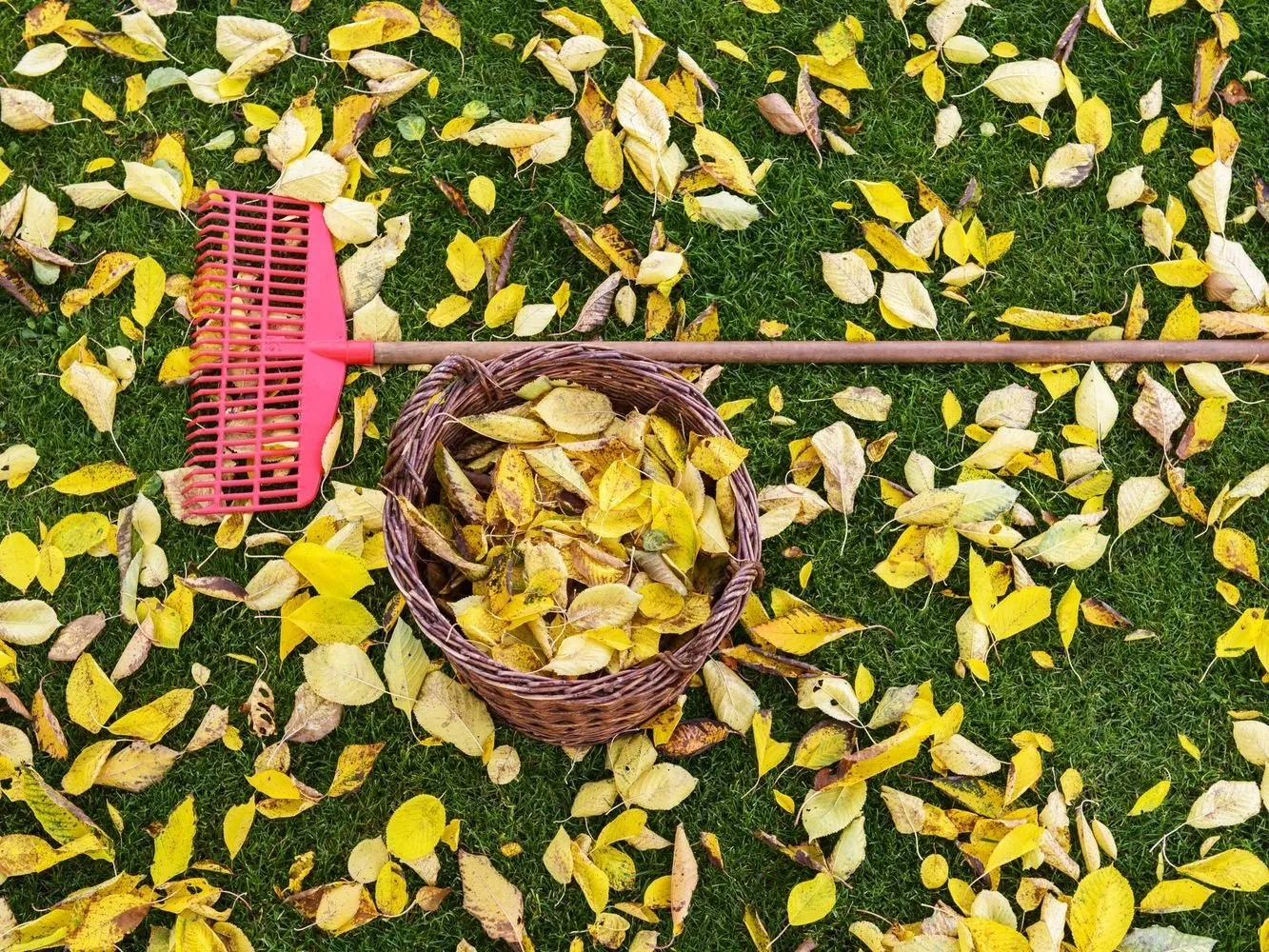 照片：现代浴室，家园与庄园，园艺护理技巧，如何照料花园，园艺工作 – 我们网站上的照片