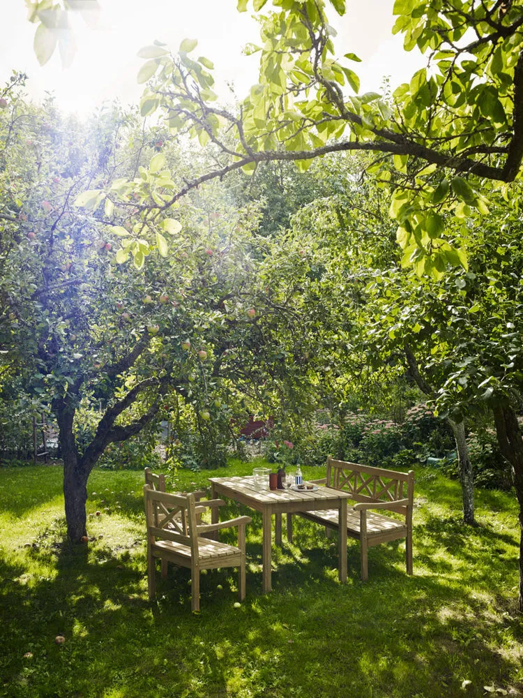 照片：景观风格，小贴士，花园，花园家具 – 我们网站上的照片