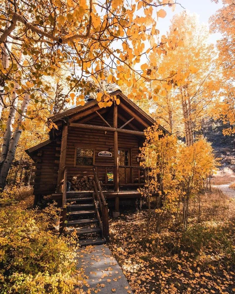 照片：经典厨房与餐厅，家园与庄园，园艺护理技巧，如何照料花园，园艺工作 – 我们网站上的照片