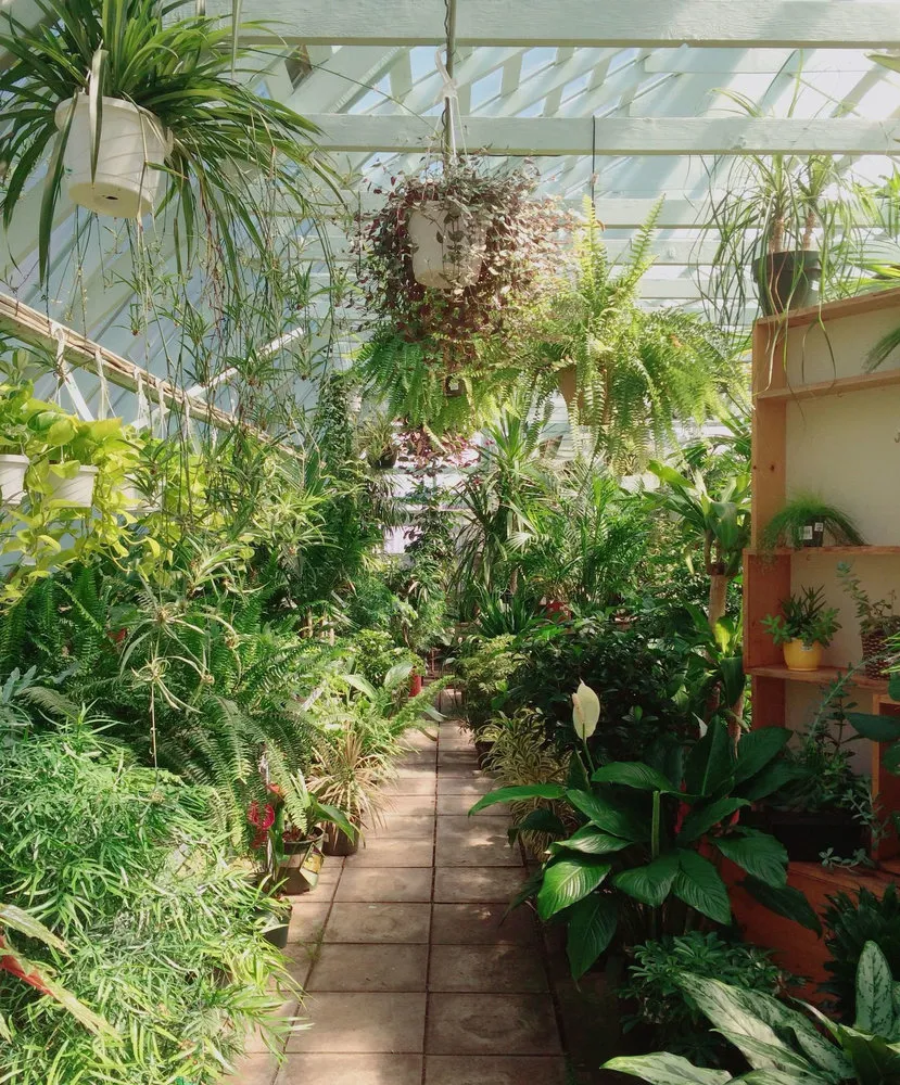 照片：乡村风格花艺、景观、小贴士、家居与花园、乡村地块、春园、如何为花园选择植物、植物 – 我们网站上的照片