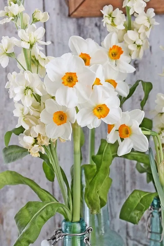 Photo: style, Landscape, Floristry, Tips – photo on our site