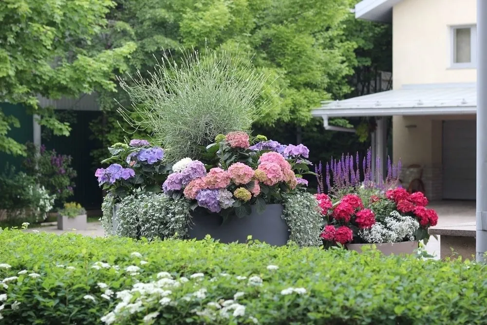 设计：叶莲娜·比科娃