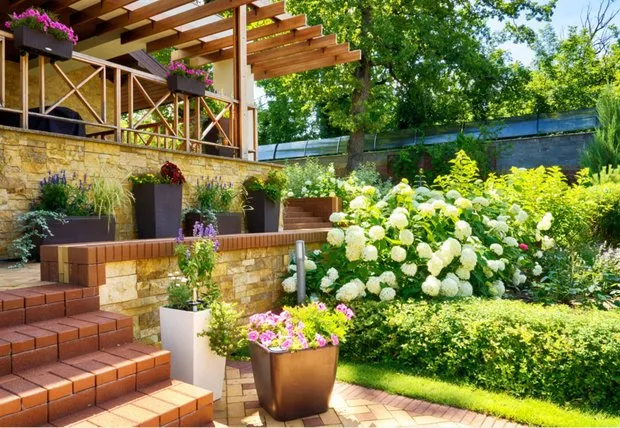 设计：叶夫根尼娅·鲁索