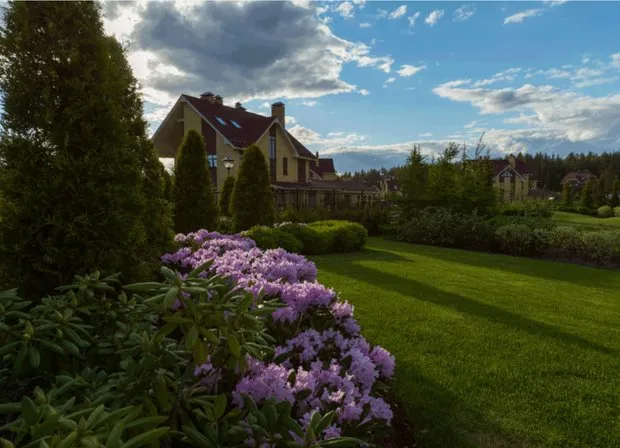 设计:'SpecParkDesign'