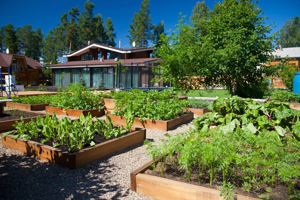 设计:景观公司 'Green Island'