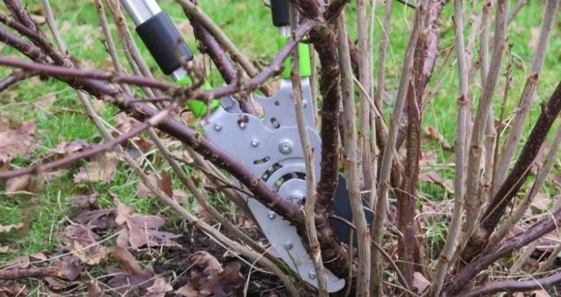 Фотографія: Кухня і столова в стилі Сучасний, Поради, Дім і дача – фото на нашому сайті