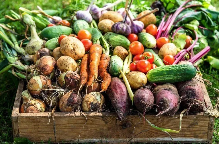 Фотографія: Гостьова в стилі Сучасний, Поради, Дім і дача – фото на нашому сайті