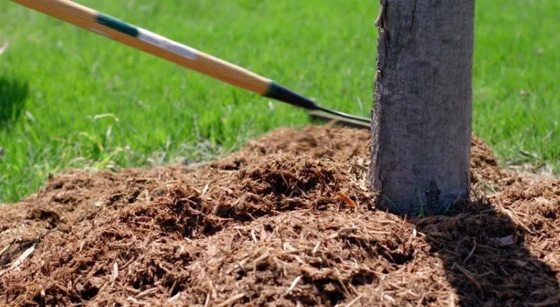 Фотографія: Спальня в стилі Сучасний, Поради, Дім і дача – фото на нашому сайті
